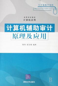 计算机辅助审计原理及应用