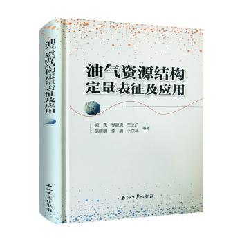 油气资源结构定量表征及应用