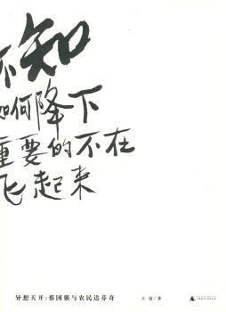 异想天开：蔡国强与农民达芬奇