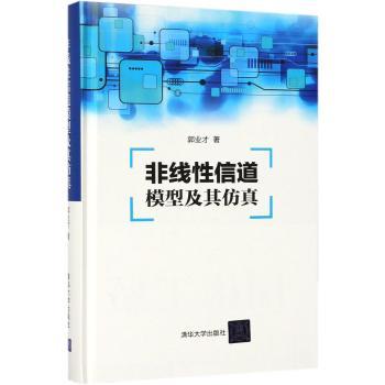 非线性信道模型及其仿真