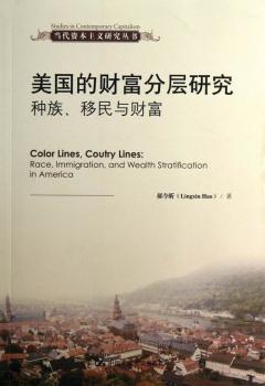 美国的财富分层研究-种族.移民与财富