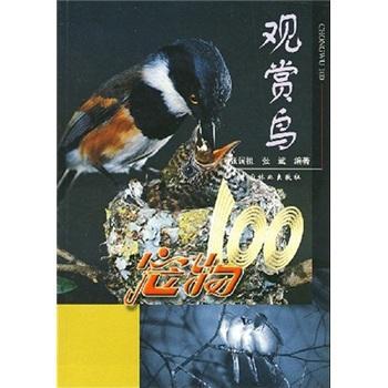 宠物100:观赏鸟