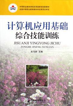 计算机应用基础综合技能训练