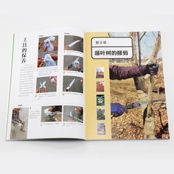 小而美的庭院花木修剪