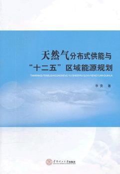 天然气分布式供能与十二五区域能源规划