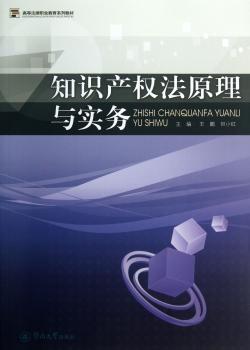 知识产权法原理与实务