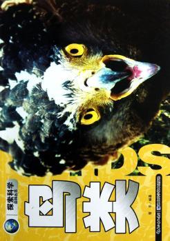 鸟类