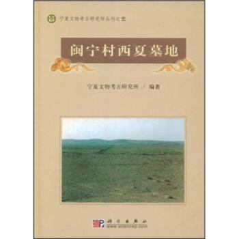 闽宁村西夏墓地