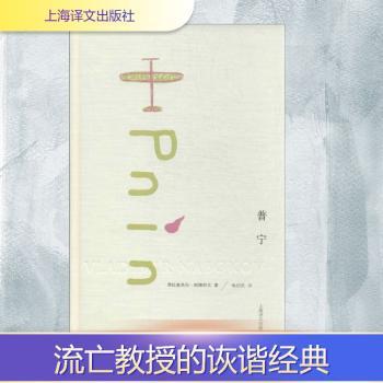 普宁