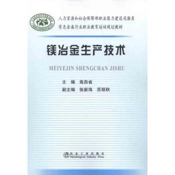 镁冶金生产技术