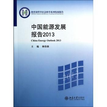 中国能源发展报告:2013:2013