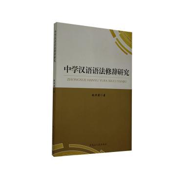 中学汉语语法修辞研究