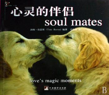 心灵的伴侣