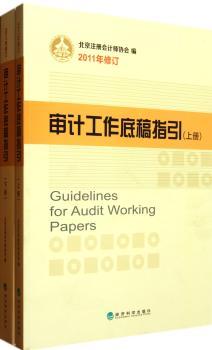 审计工作底稿指引:2011年