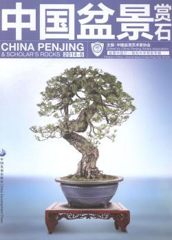 中国盆景赏石-盆景中国行-高风中学专辑