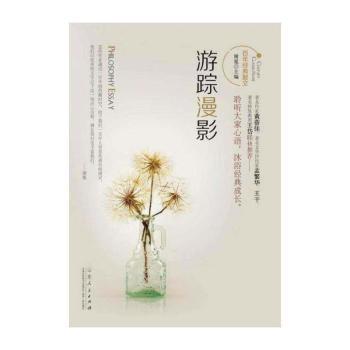 游踪漫影