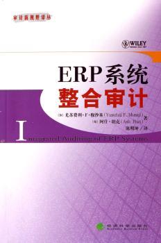 ERP系统整合审计