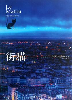 街猫