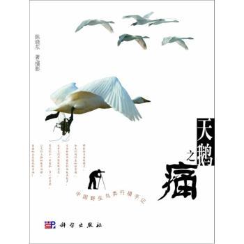 天鹅之痛:中国野生鸟类兴摄手记