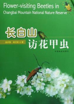 长白山访花甲虫