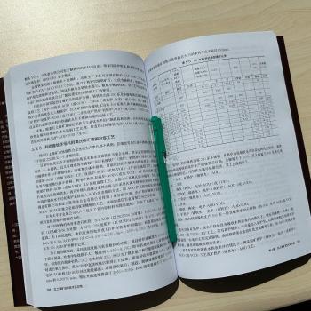 红土镍矿冶炼技术及应用