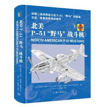 北美P-51“野马”战斗机