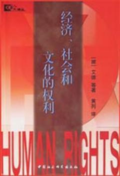经济社会和文化的权利/人权译丛