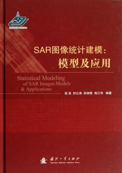 SAR图像统计建模:模型及应用:models & applications