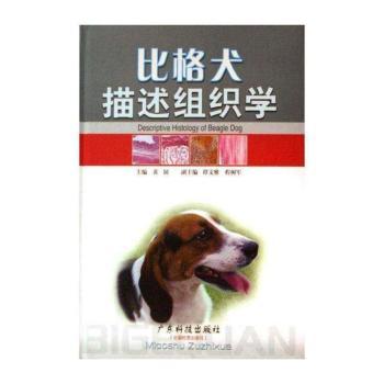 比格犬描述组织学