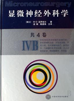 显微神经外科学:ⅣB
