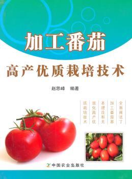 加工番茄高产优质栽培技术