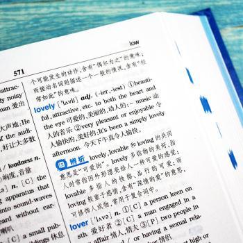学生实用全新英汉双解大词典