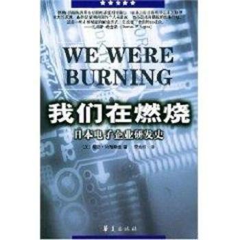 我们在燃烧:日本电子企业研发史
