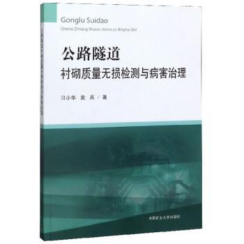 公路隧道衬砌质量无损检测与病害治理