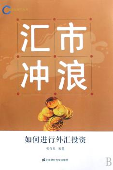 汇市冲浪:如何进行外汇投资