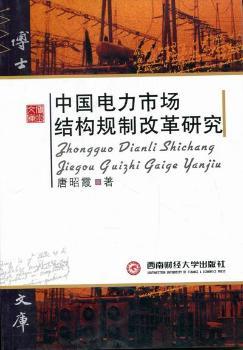 中国电力市场结构规制改革研究