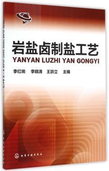 岩盐卤制盐工艺(李红响)