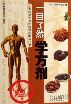 一目了然学方剂