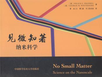 见微知著:纳米科学:science on the nanoscale