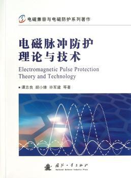 电磁脉冲防护理论与技术