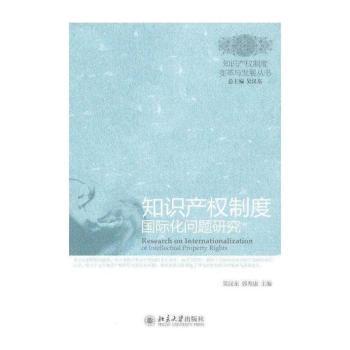知识产权制度化问题研究