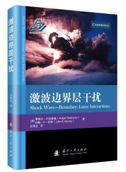 激波边界层干扰