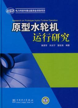 原型水轮机运行研究