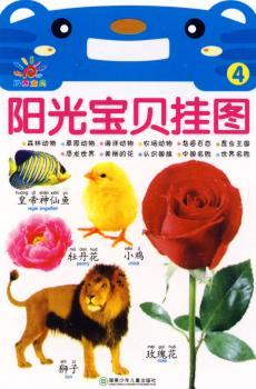 阳光宝贝挂图4