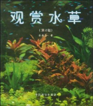 观赏水草