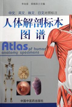 人体解剖标本图谱