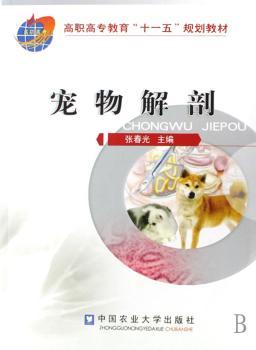 宠物解剖
