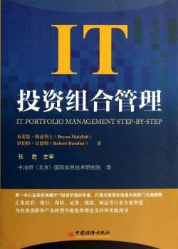 IT投资组合管理