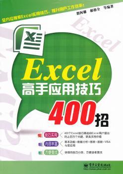 Excel高手应用技巧400招