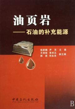 油页岩:石油的补充能源(精装)